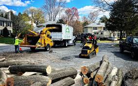 Cordova, AK  Tree Services Company